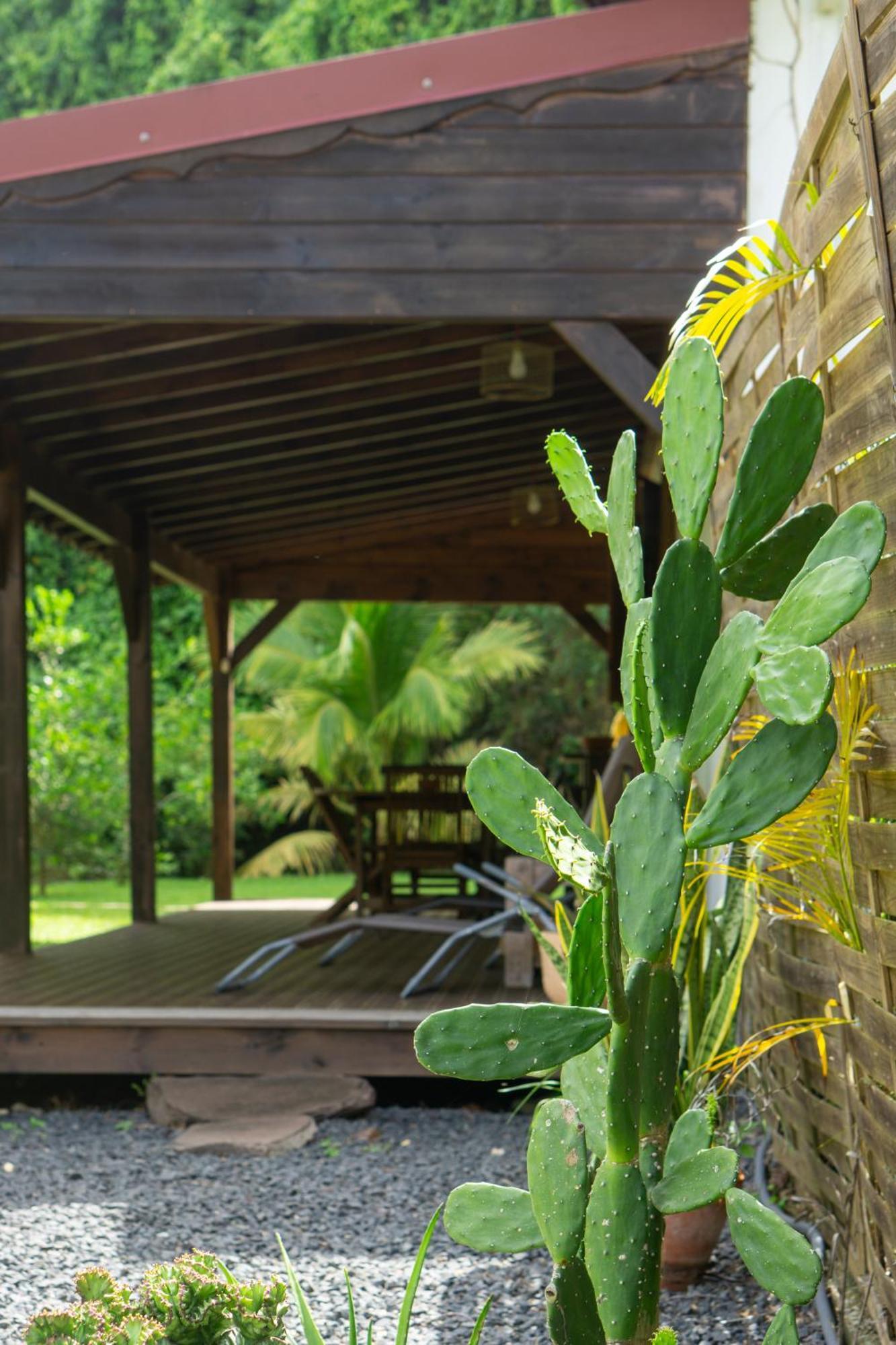 Villa au calme avec Jacuzzi, Villa Le Boursoie Les Abymes Extérieur photo